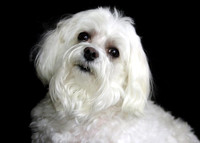 Margo