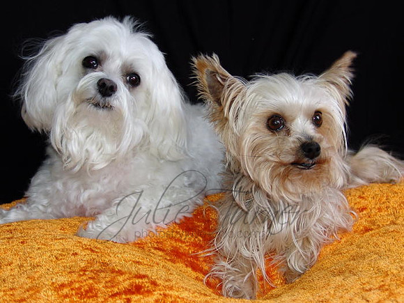 Margo and Mitzi