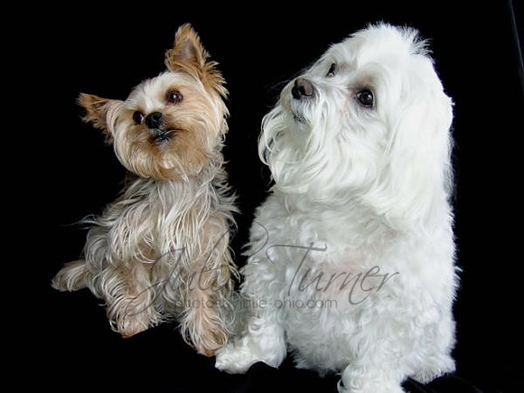 Mitzi and Margo